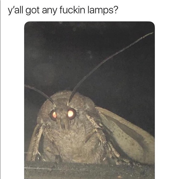 themoth662
